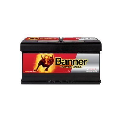 BANNER POWER BULL 95AH 760A R+